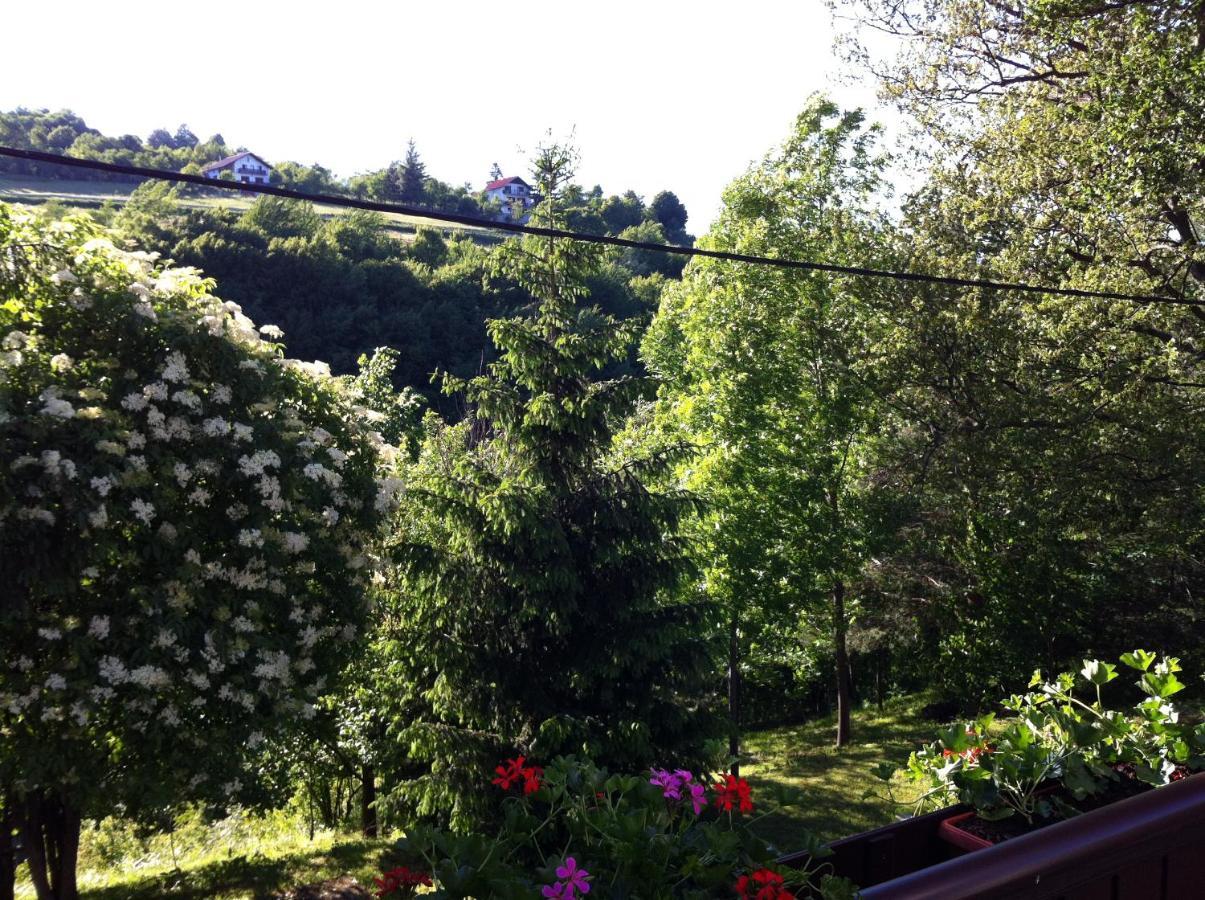 Apartments Renata Guest house Smoljanac