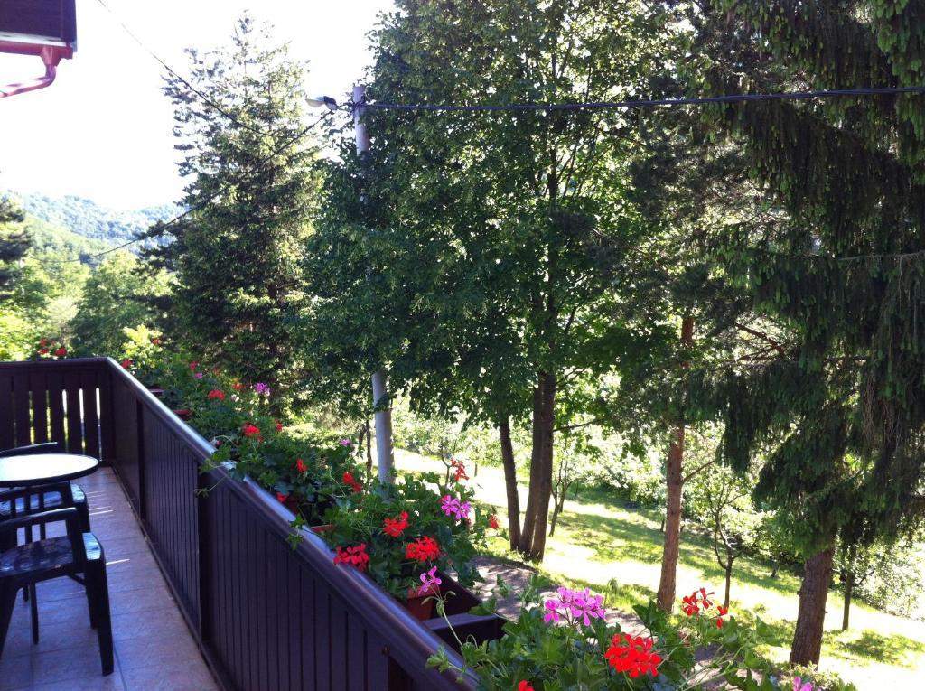 Apartments Renata Guest house