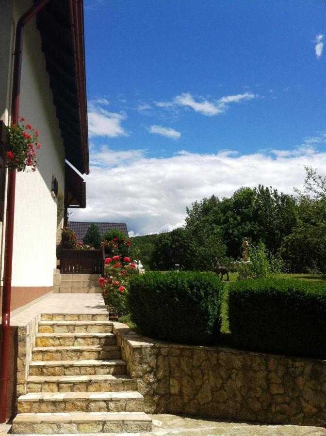 Guest house Apartments Renata Smoljanac